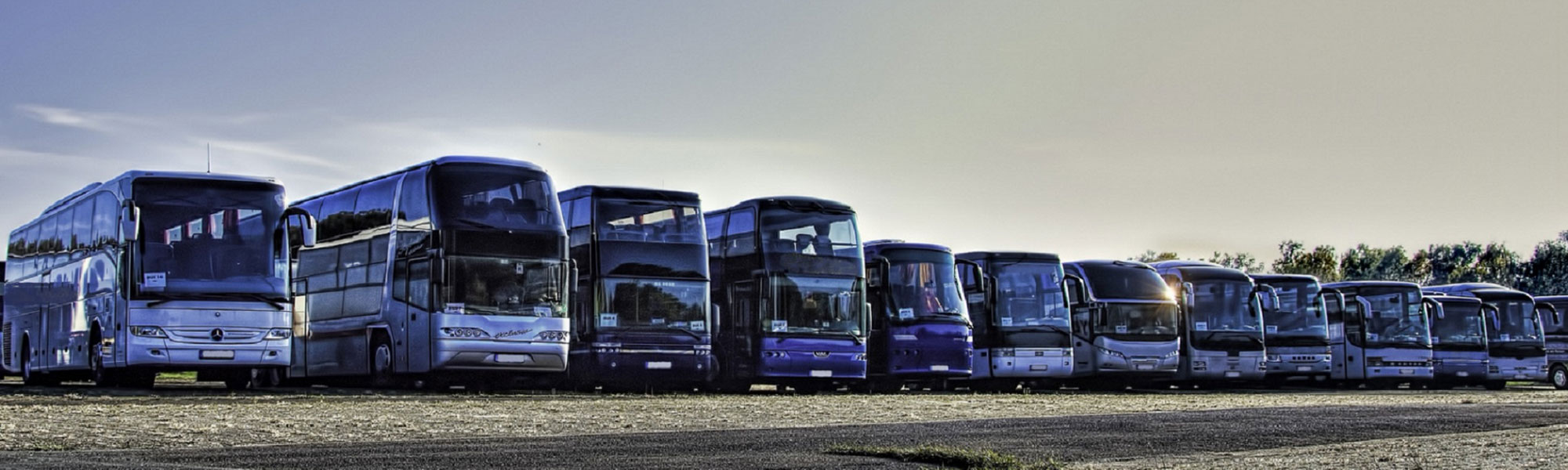 Our Fleet of VIP Buses